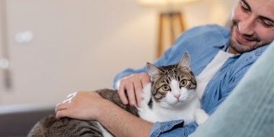 Cat Care Basics