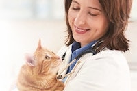 Dr. Emily Cross, DVM, DABVP