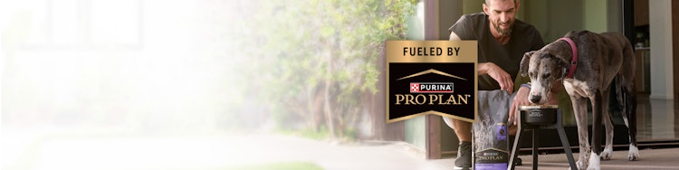 Michael Phelps with his dog eating Pro Plan dog food, with a banner overlay that says “Fueled by Purina Pro Plan”.