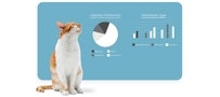 Informe de perspectivas de Petivity