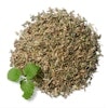 Catnip