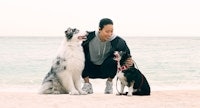 purina running relationship